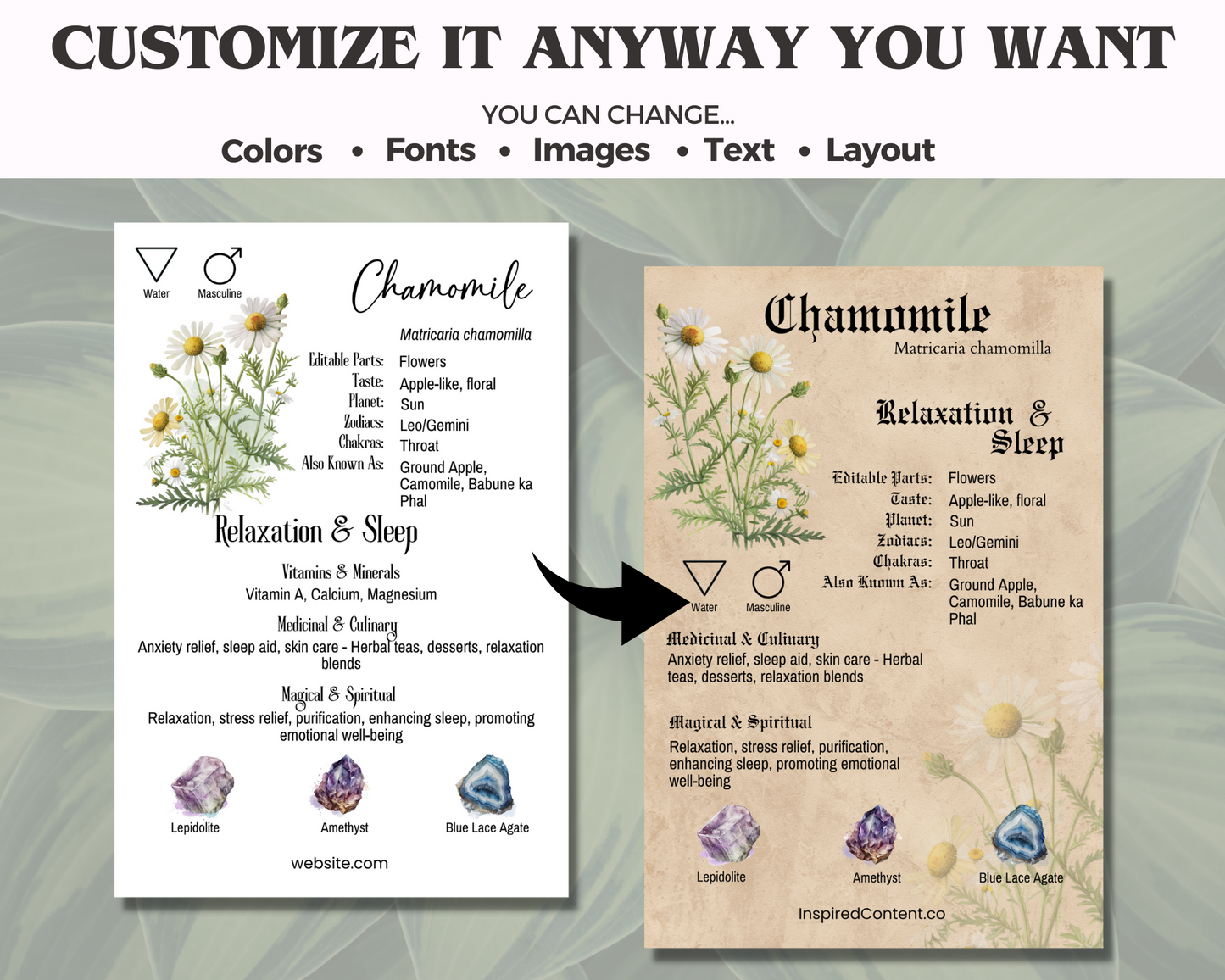 100 Herb & Spice Crystal Cards, Apothecary Herb Meaning Cards