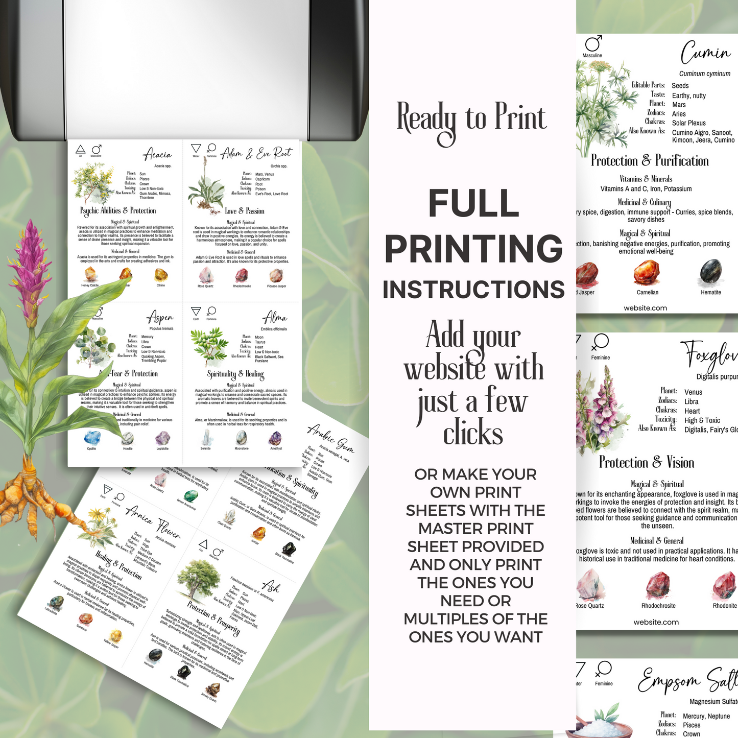 Vol 2 - 100 Herb & Plant Crystal Cards, Apothecary herb meaning cards, Editable Herbalism Plant Cards, Botanical info cards, printable herbs