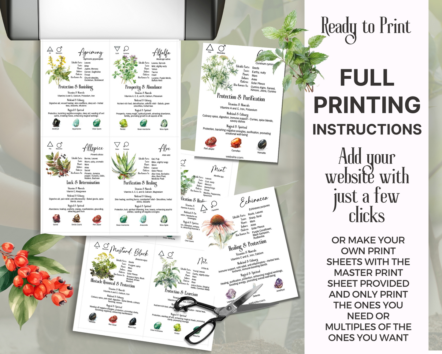 100 Herb & Spice Crystal Cards, Apothecary Herb Meaning Cards
