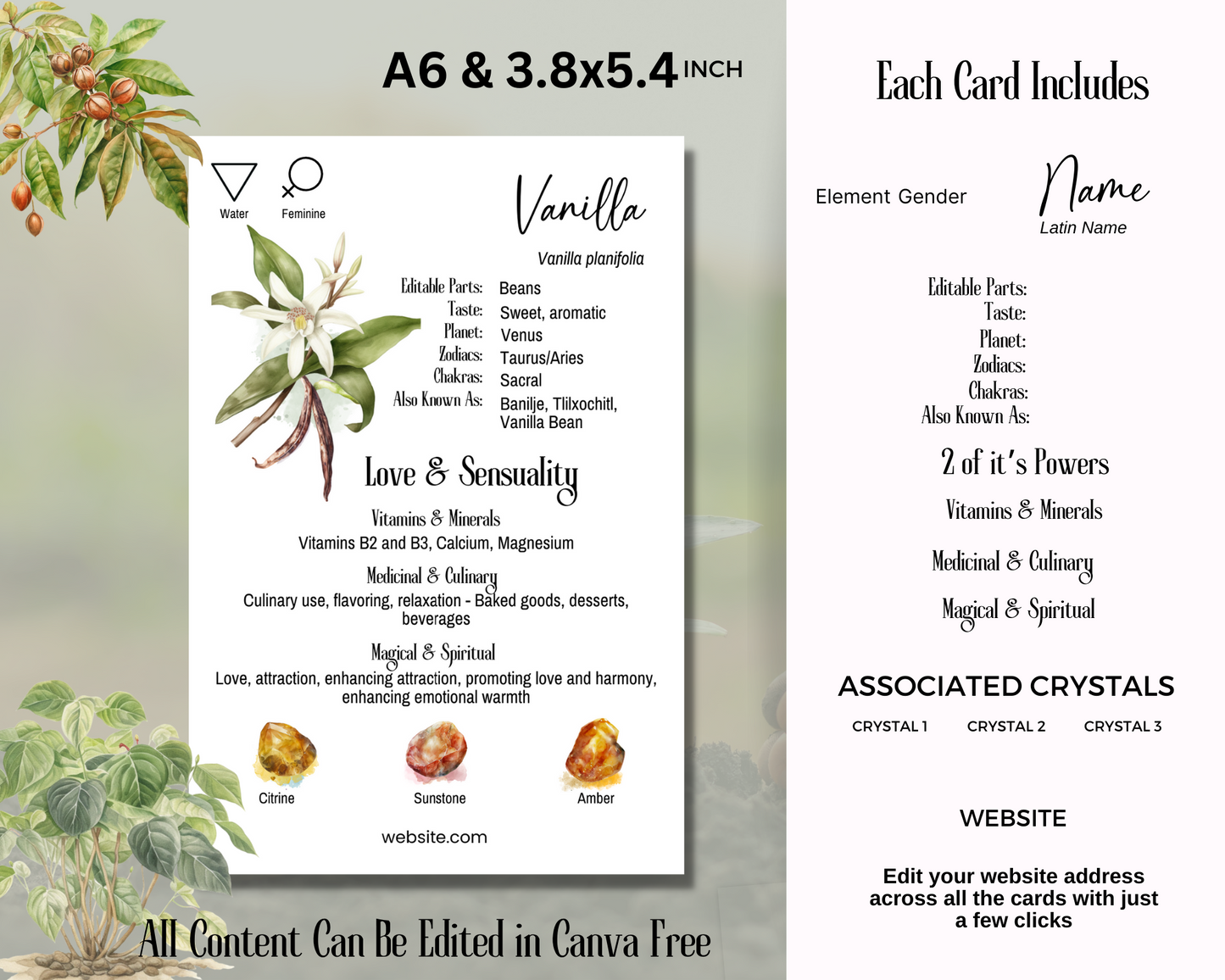 100 Herb & Spice Crystal Cards, Apothecary Herb Meaning Cards