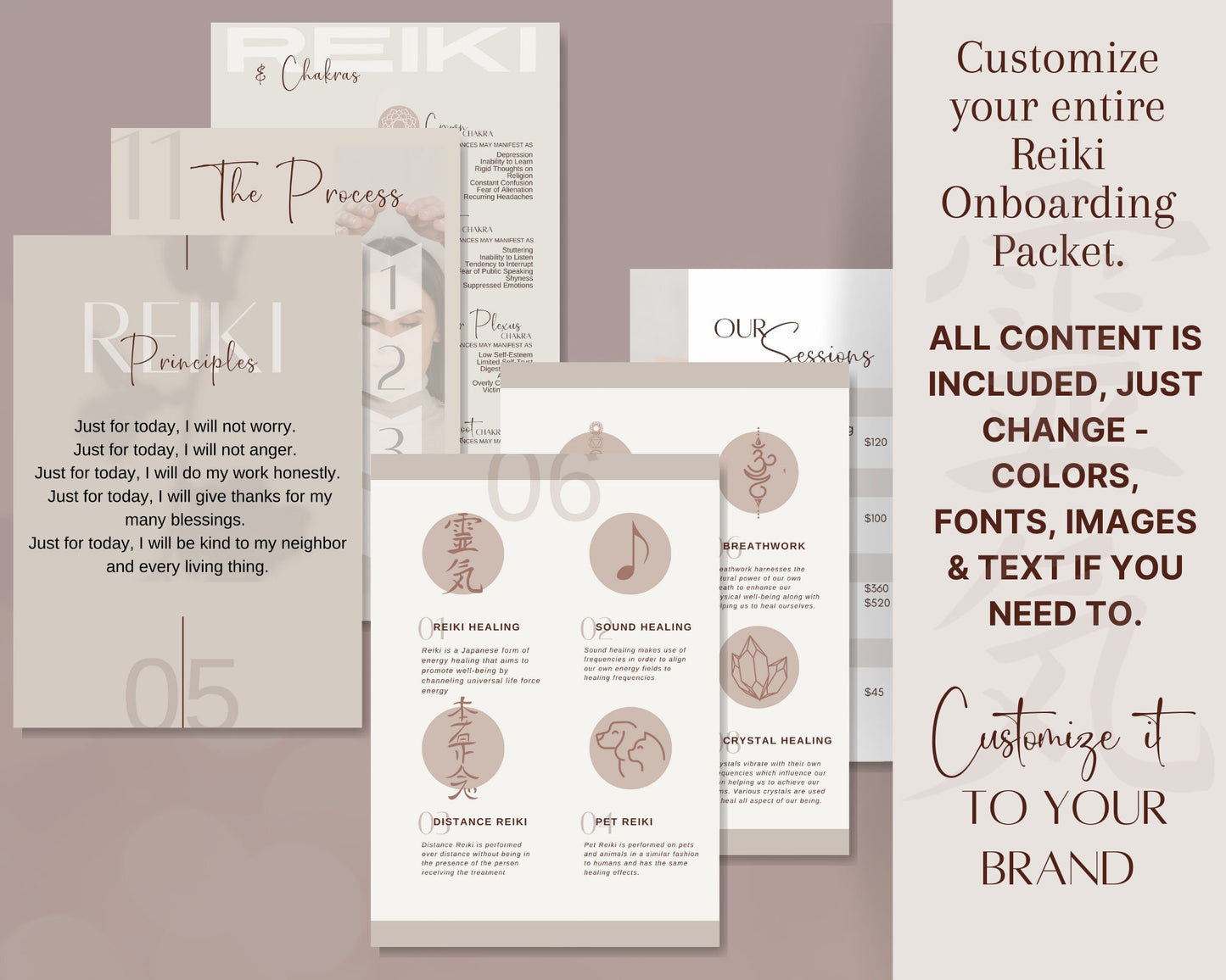 Reiki Client Welcome Guide, Energy Healing Client Onboarding Packet, Reiki Information Packet in Canva,  New Client Guide for Reiki Business